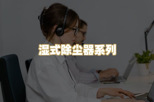 湿式除尘器系列
